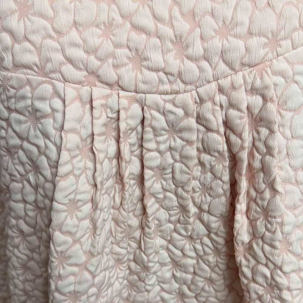 Pale Pink Textured Ruffled Sleeve Dress - Picture 14 of 16